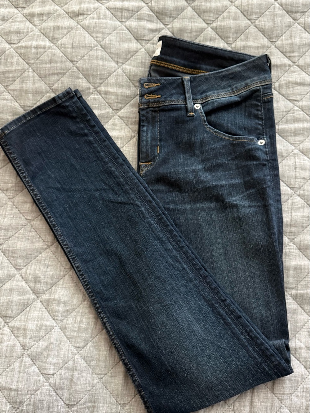 Hudson Jeans Dark Indigo Skinny Collin